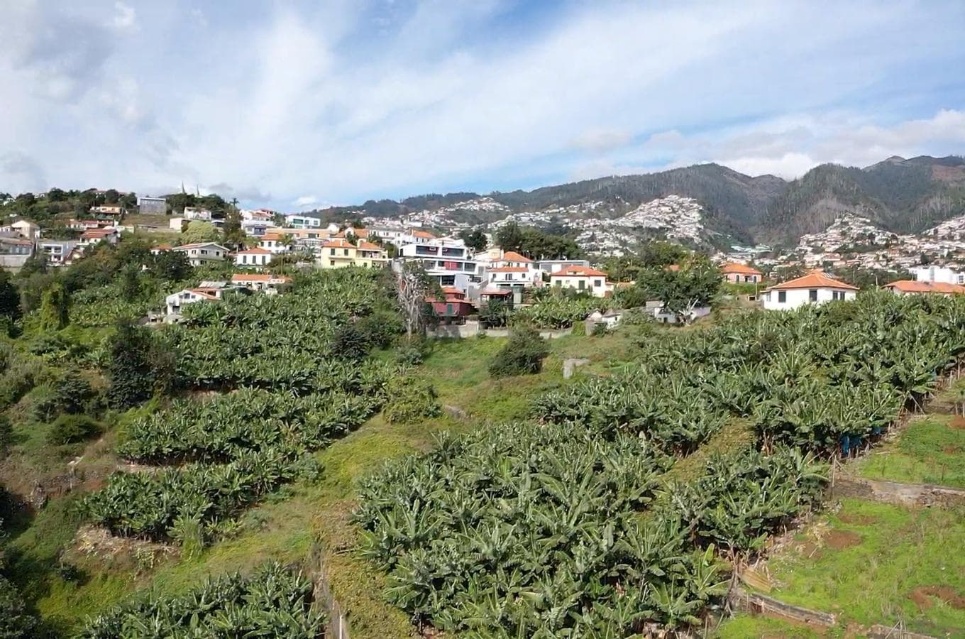 Terreno com Viabilidade Construtiva · Funchal — imagen 7