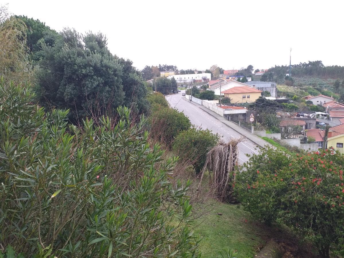 Moradia + Edifício · Vila Nova de Gaia — imagen 16