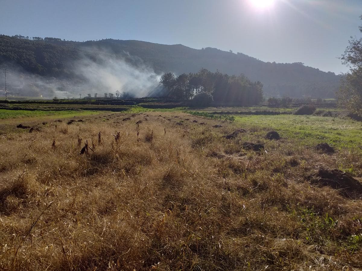 Terreno · Viana do Castelo