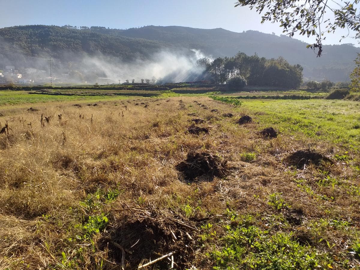 Terreno · Viana do Castelo — image 2