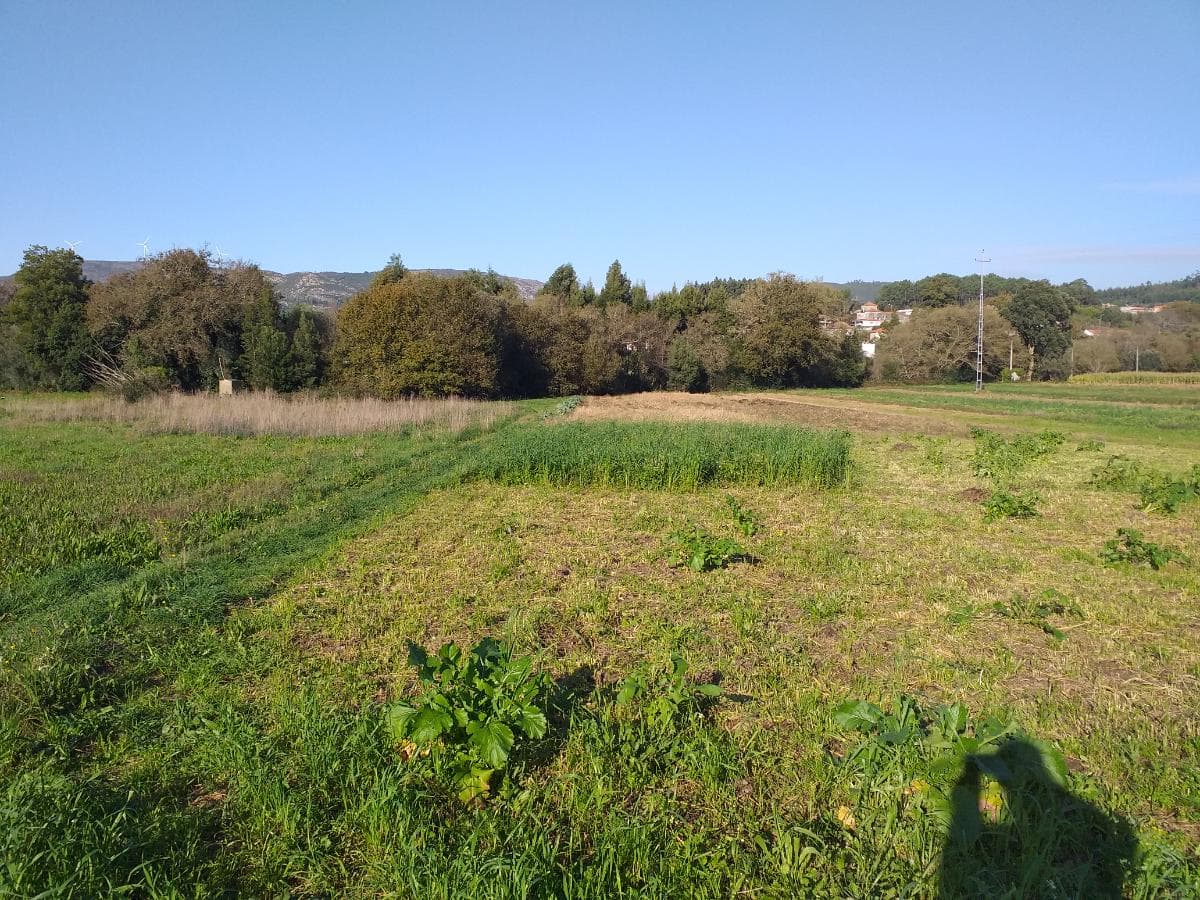 Terreno · Viana do Castelo — image 3