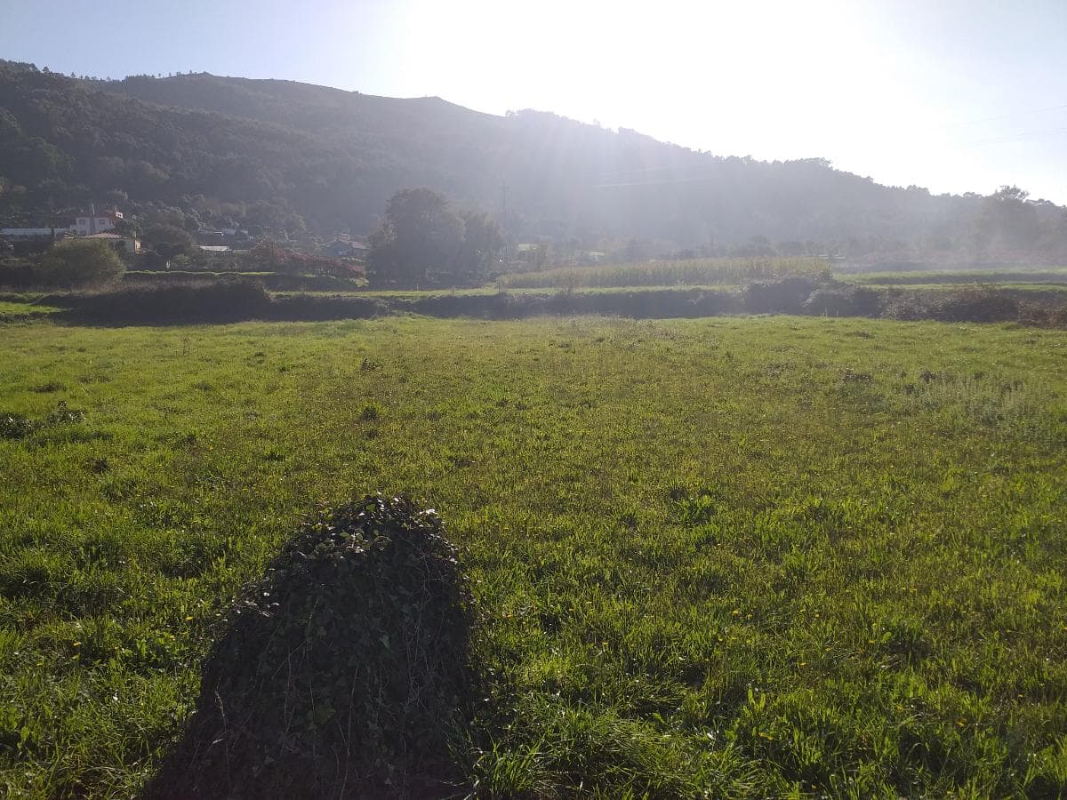 Terreno · Viana do Castelo — image 1