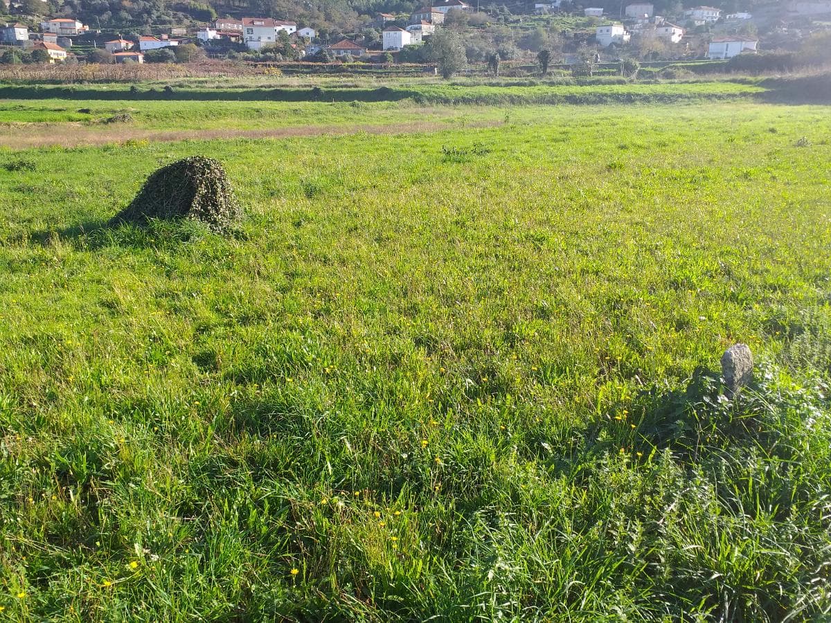 Terreno · Viana do Castelo — image 2