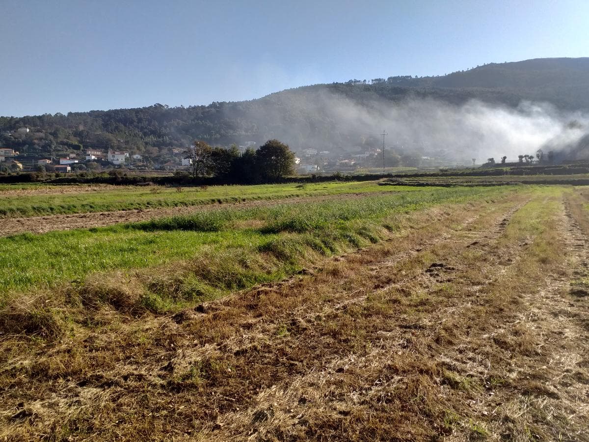 Terreno · Viana do Castelo