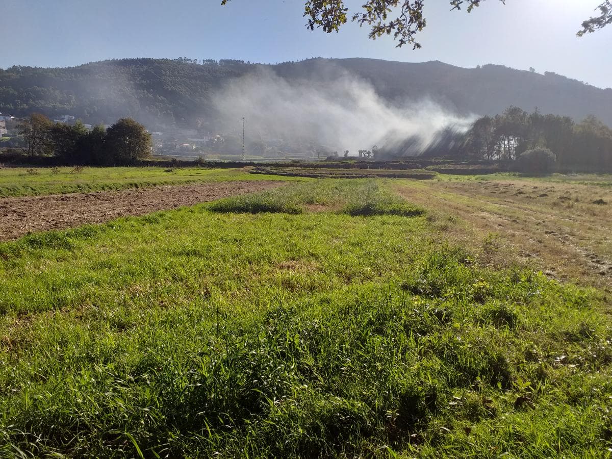 Terreno · Viana do Castelo — imagem 2
