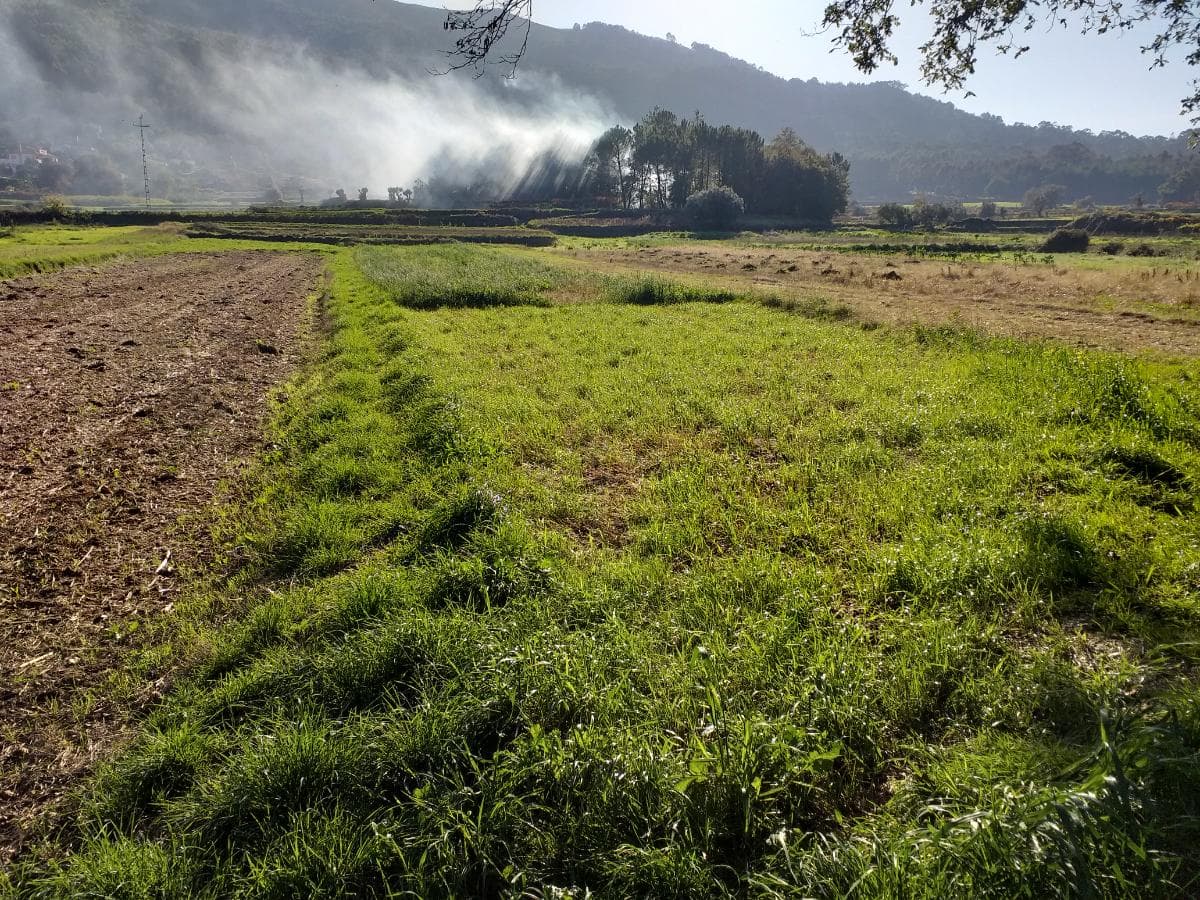 Terreno