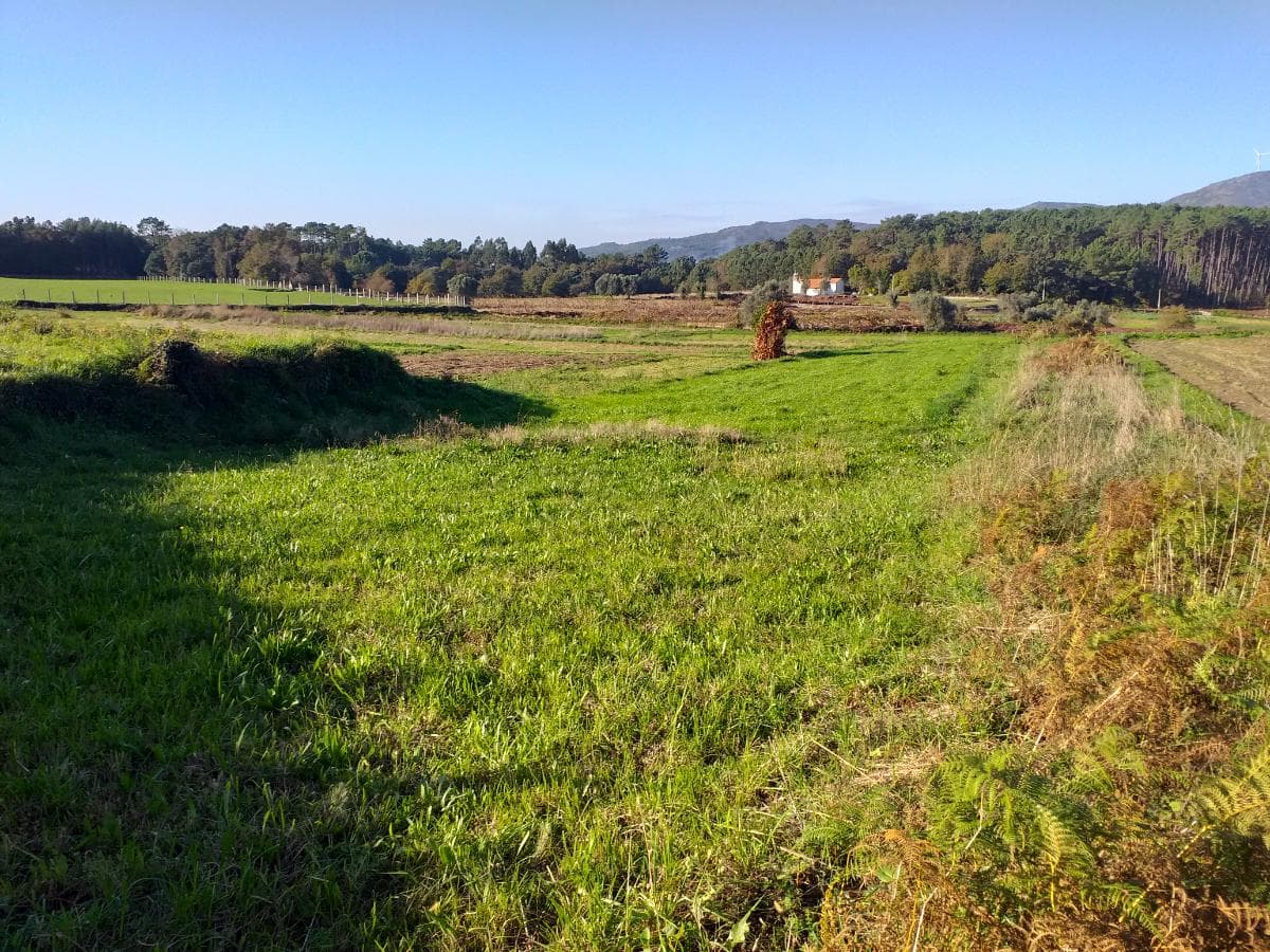 Terreno · Viana do Castelo — image 1