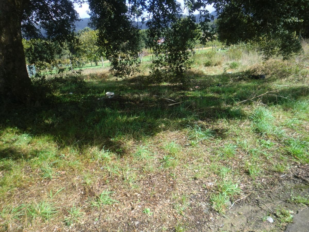 Land · Valença — image 2
