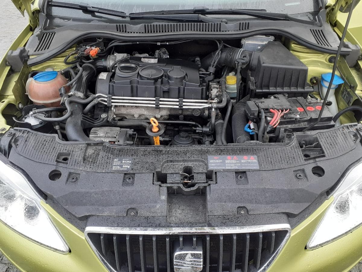 Seat Ibiza 1.9 TDI · Ano 2009 — imagen 18