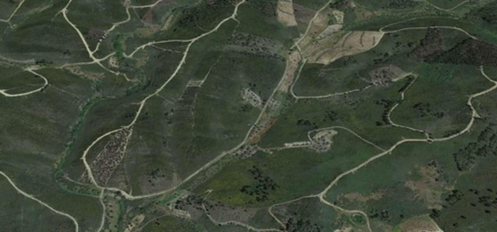 Terreno · Sertã — imagem 3