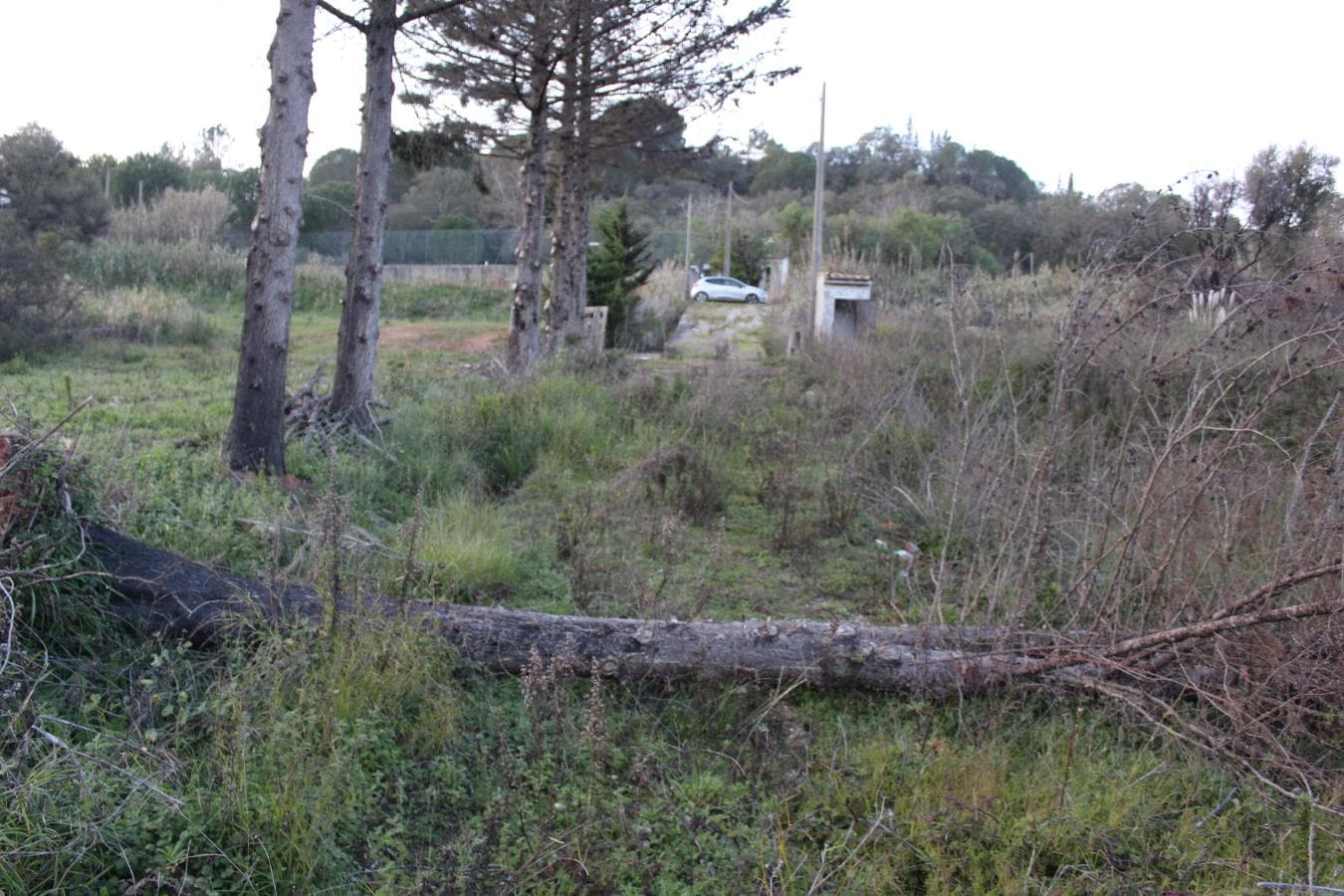 Terreno · São Lourenço, Setúbal — imagen 6
