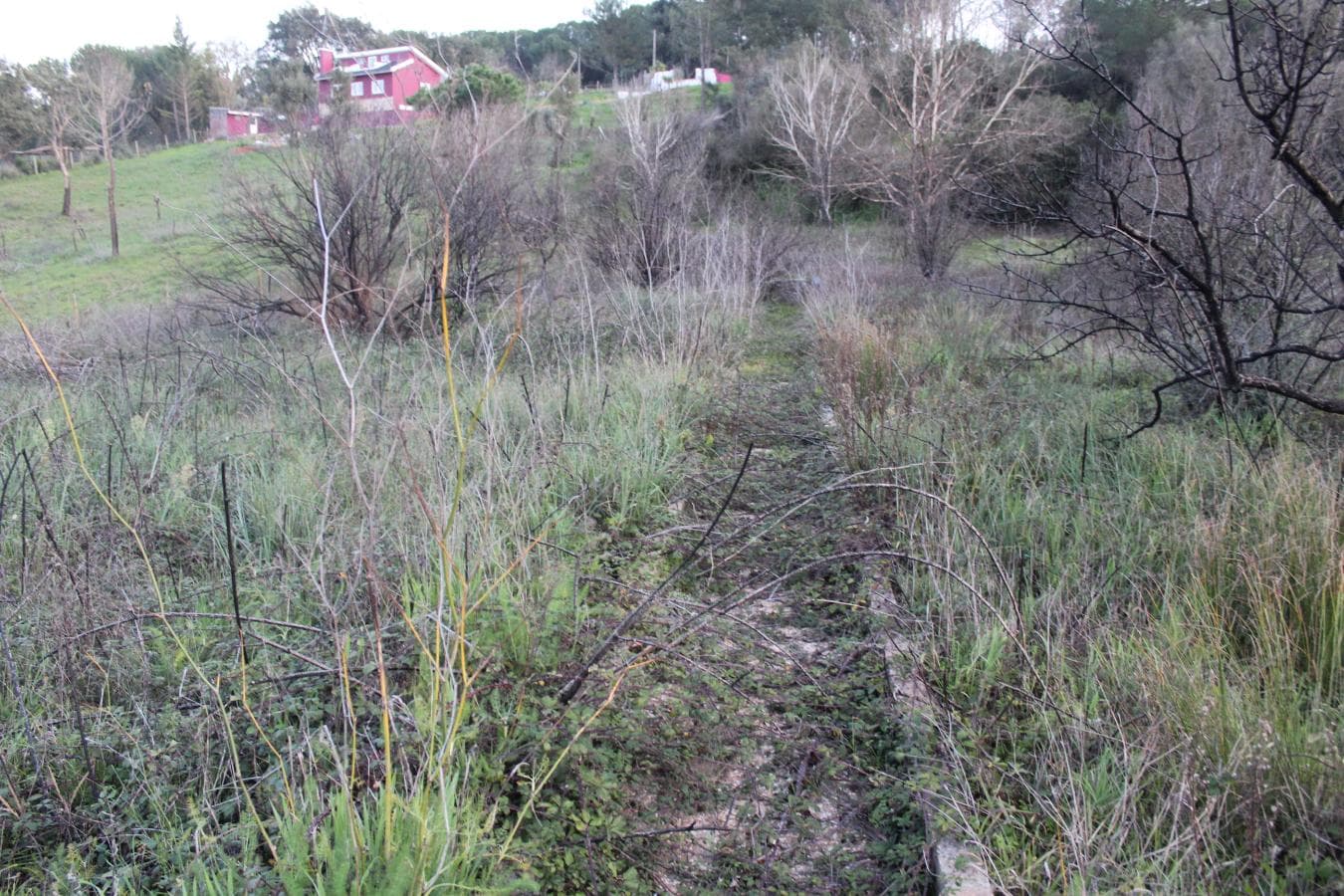 Terreno · São Lourenço, Setúbal — imagen 3