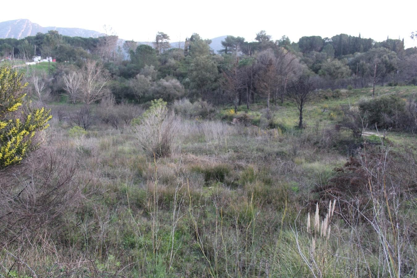 Terreno · São Lourenço, Setúbal — imagen 4