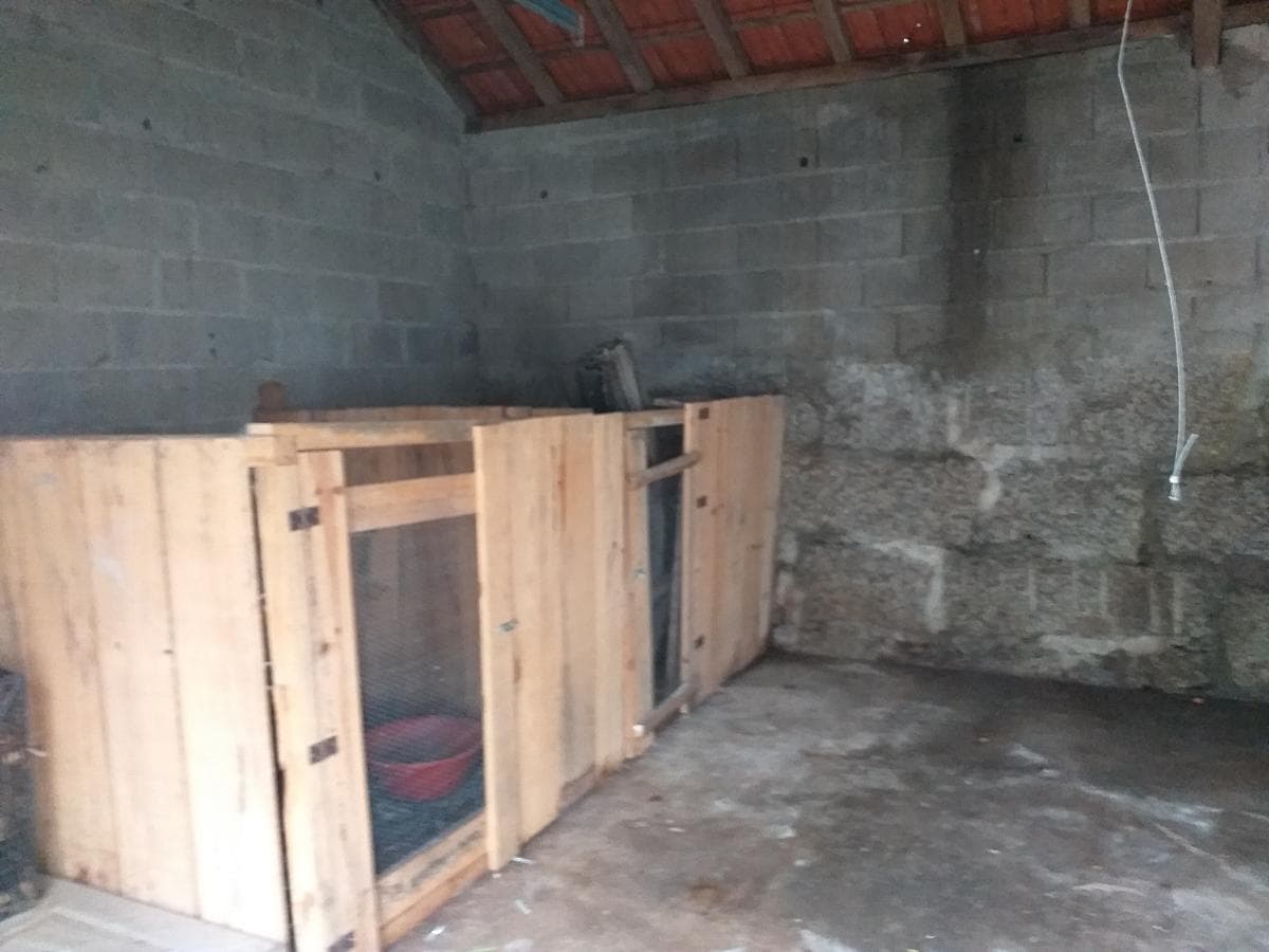 Moradia V4 + Terreno · Paredes de Coura — imagem 21