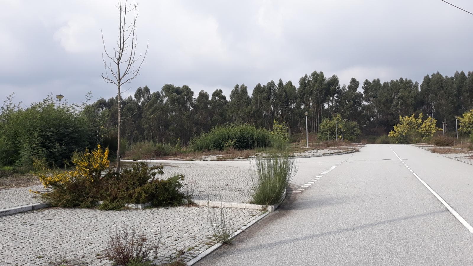 Loteamento P/ Construção · Quinta de São Estevão · Viseu — imagem 104