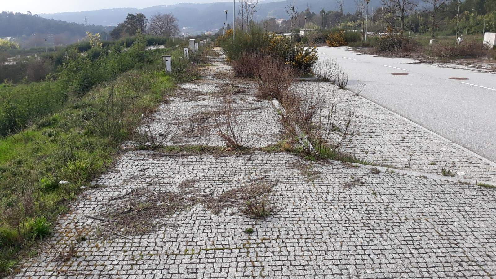 Loteamento P/ Construção · Quinta de São Estevão · Viseu — imagem 108