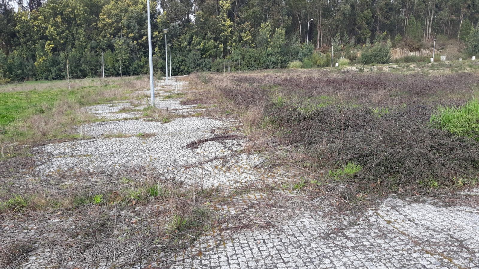 Loteamento P/ Construção · Quinta de São Estevão · Viseu — imagem 113