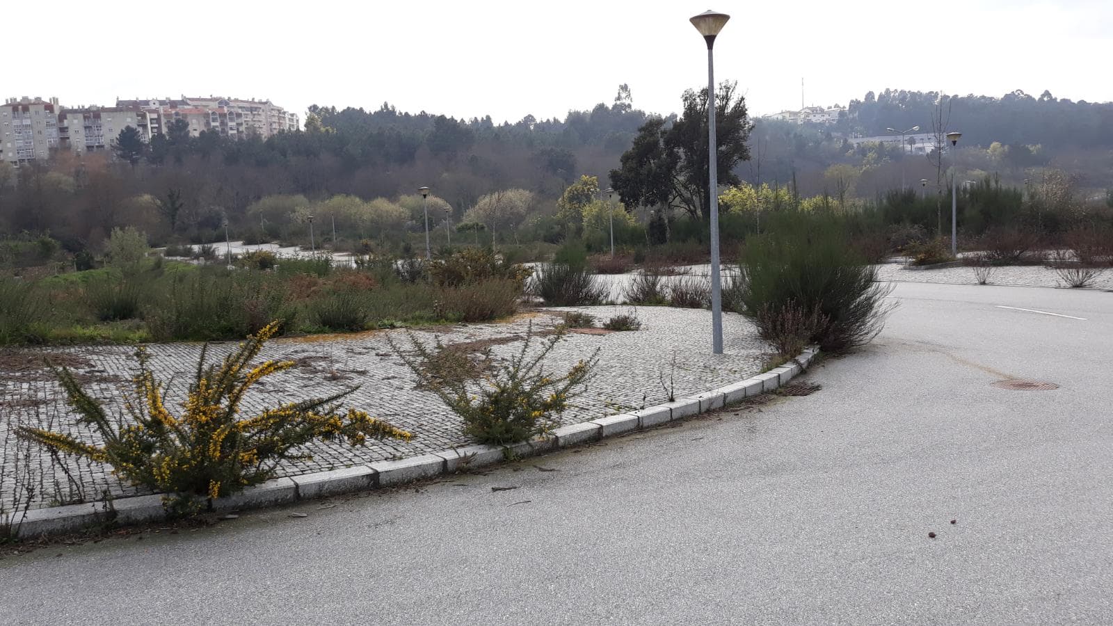 Loteamento P/ Construção · Quinta de São Estevão · Viseu — imagem 7