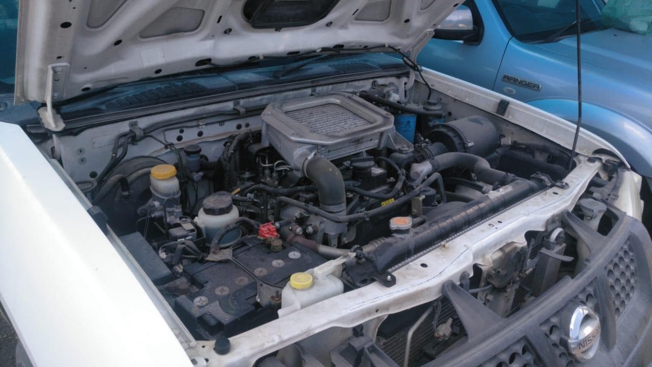 Nissan Hardbody — imagen 5
