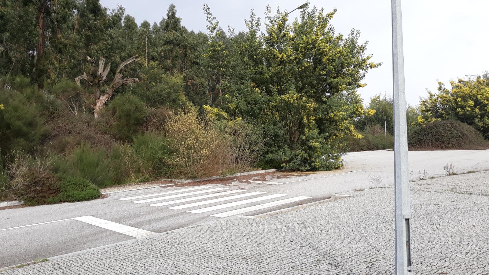 Loteamento P/ Construção · Quinta de São Estevão · Viseu — imagem 53