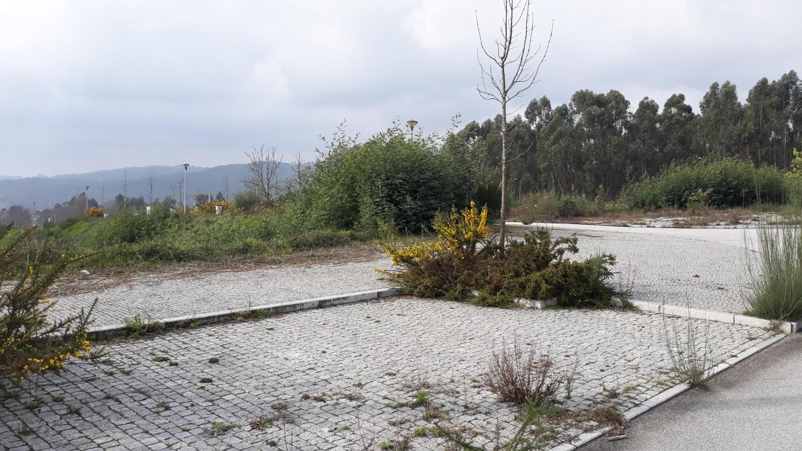 Loteamento P/ Construção · Quinta de São Estevão · Viseu — imagem 69
