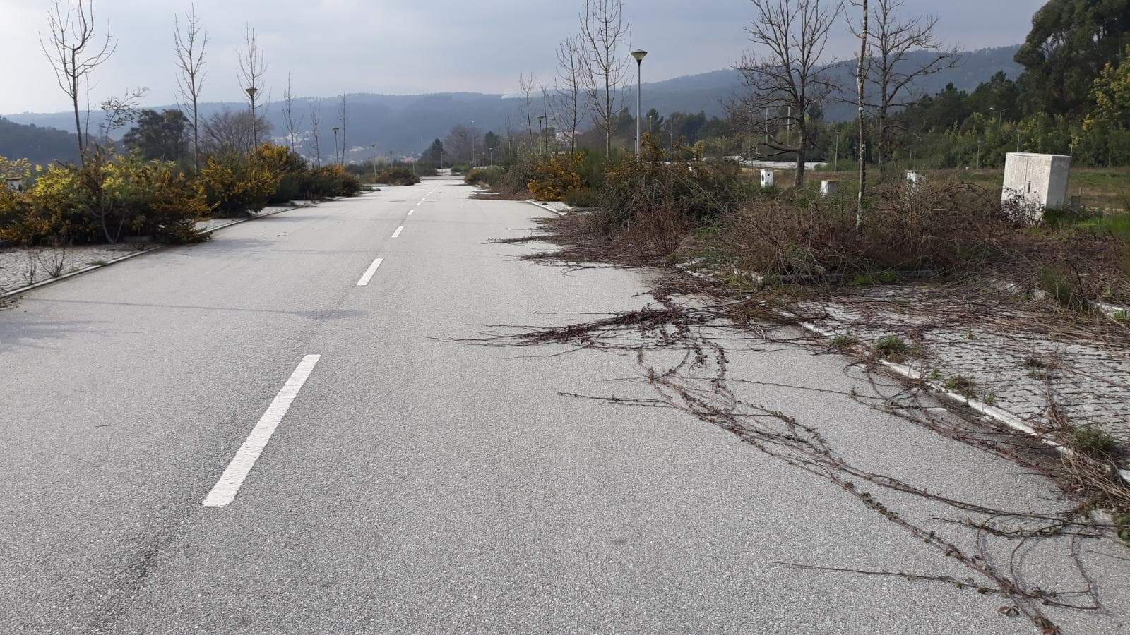 Loteamento P/ Construção · Quinta de São Estevão · Viseu — imagem 79