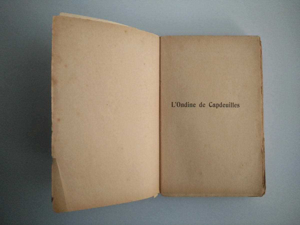 L’Ondine de Capdeuilles — image 3