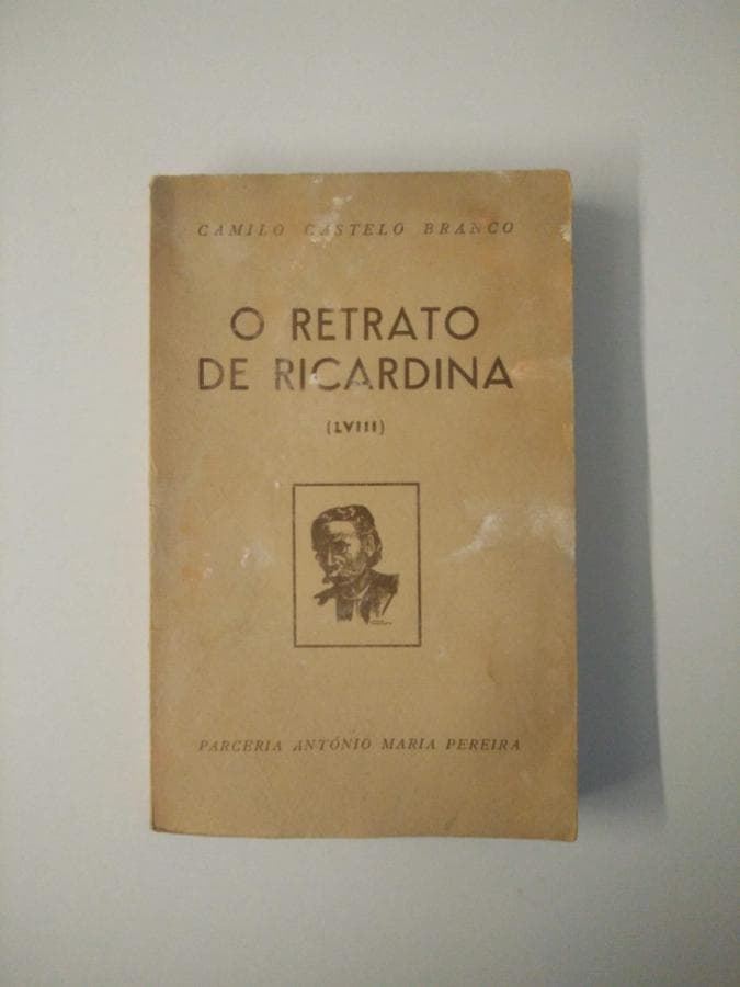 O retrato de Ricardina — imagem 2