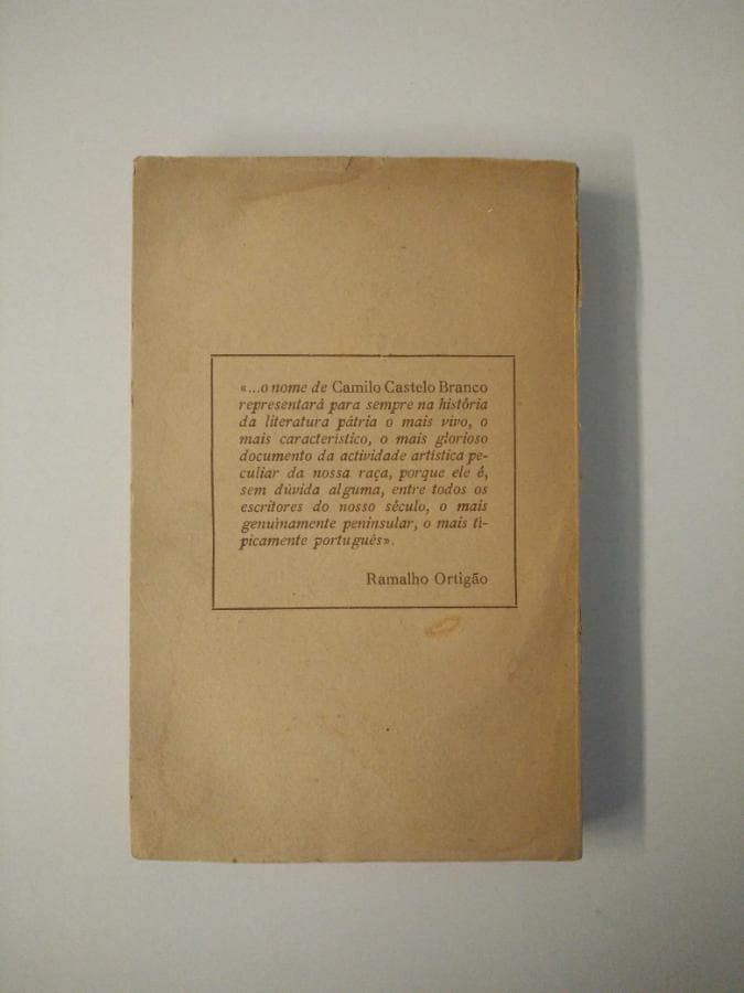 O retrato de Ricardina — imagem 3