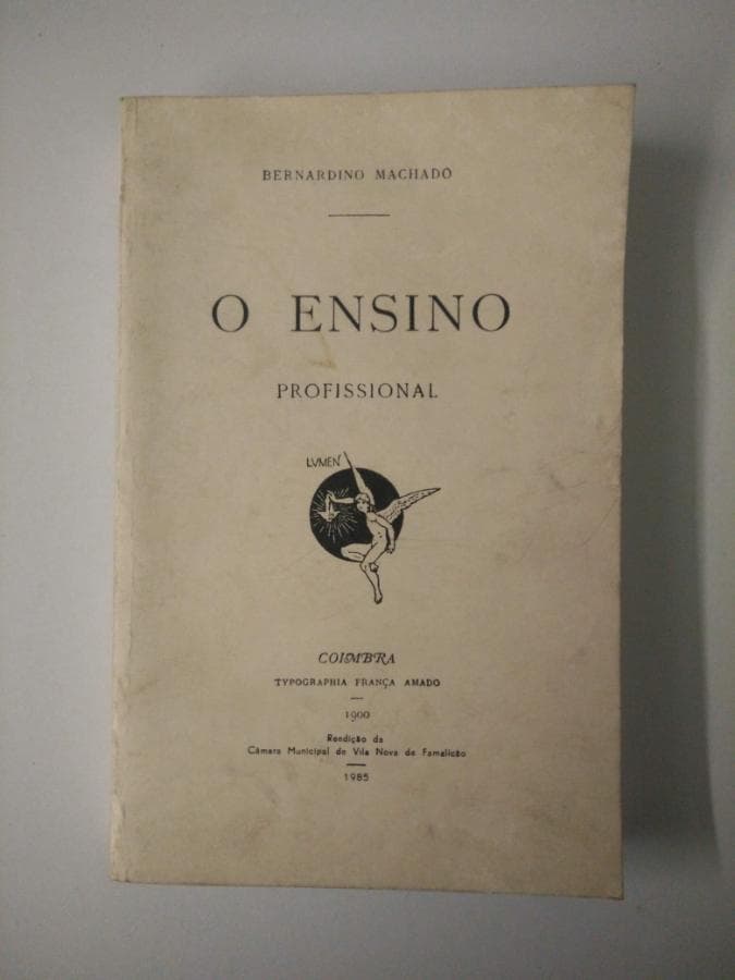 O Ensino Profissional
