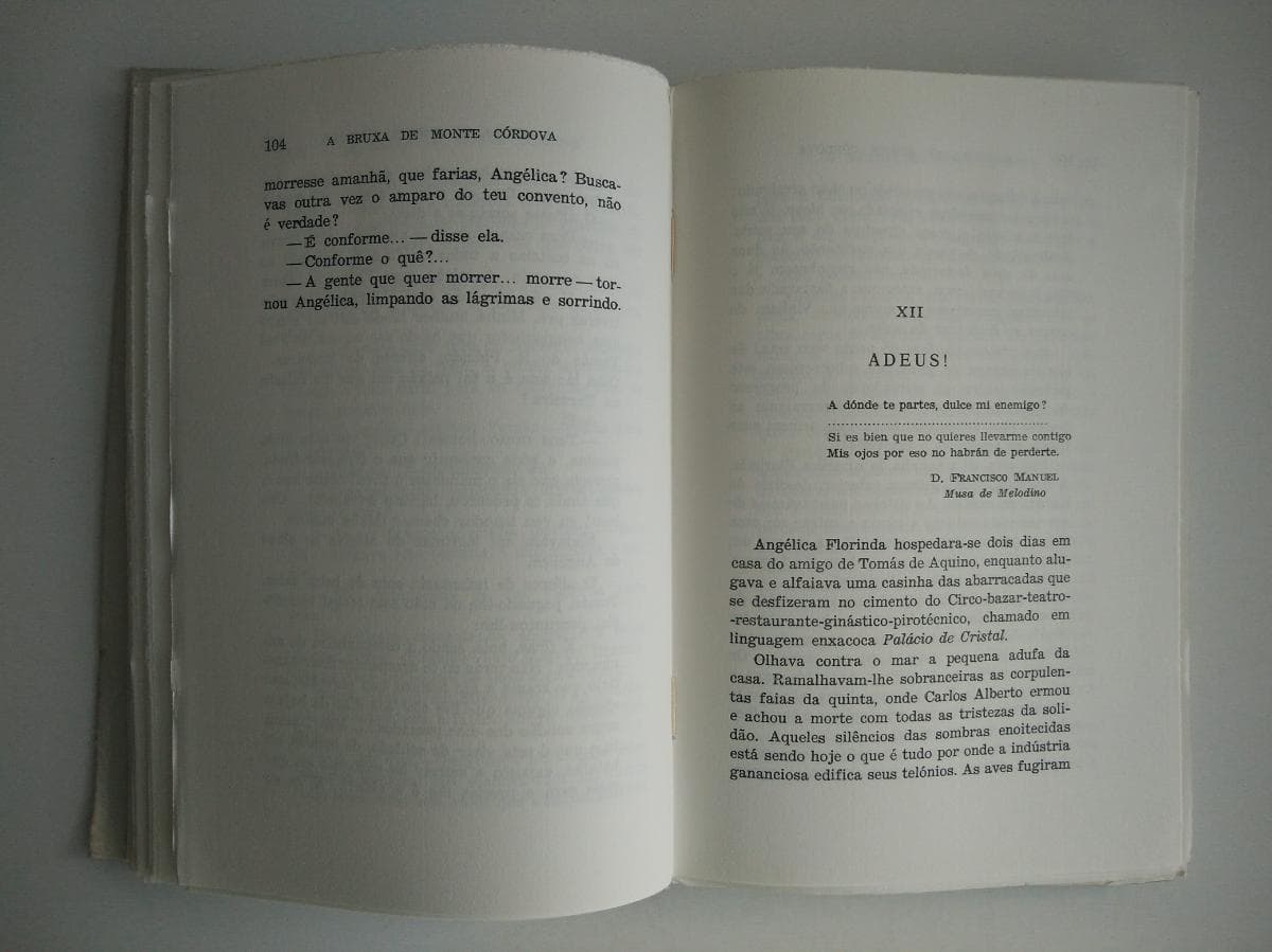A bruxa de Monte Córdova — imagen 2