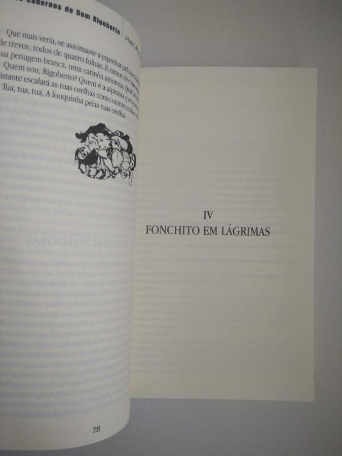Os Cadernos de Dom Rigoberto — image 2