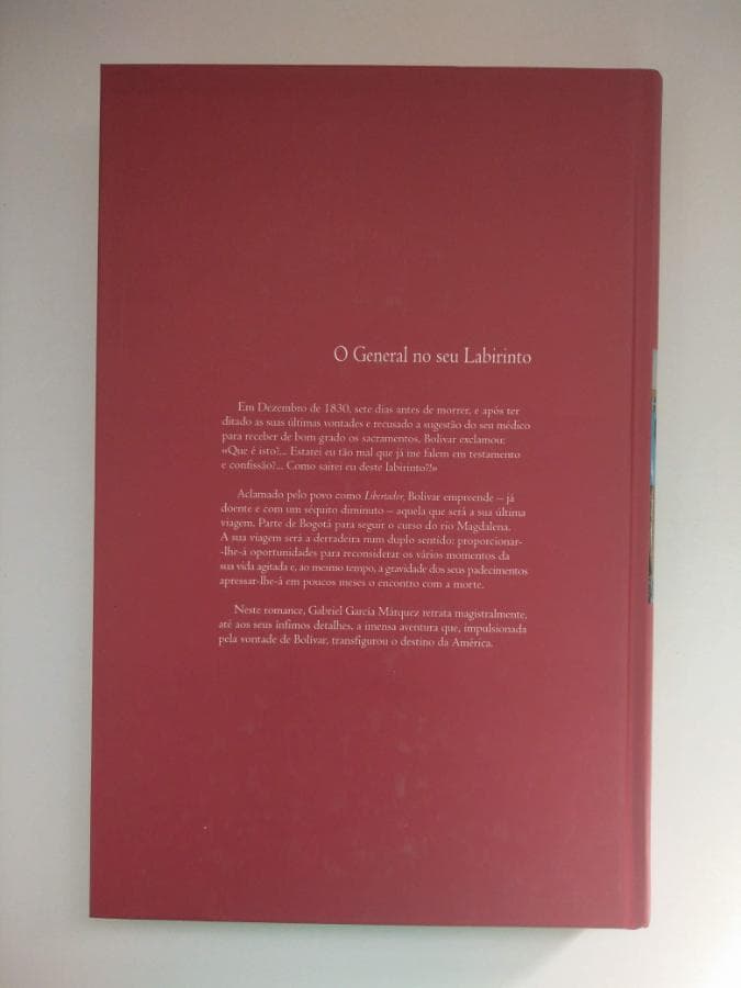 O General no seu labirinto — imagen 3
