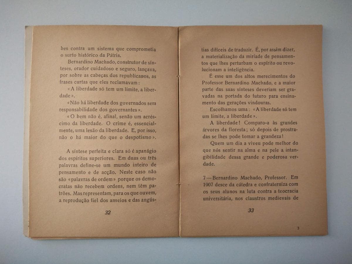 Bernardino Machado — imagem 2