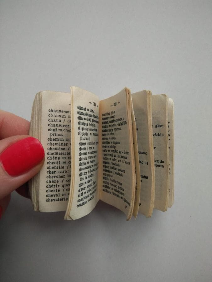 Dictionnaire Lilliput Français - Portugais — imagem 2