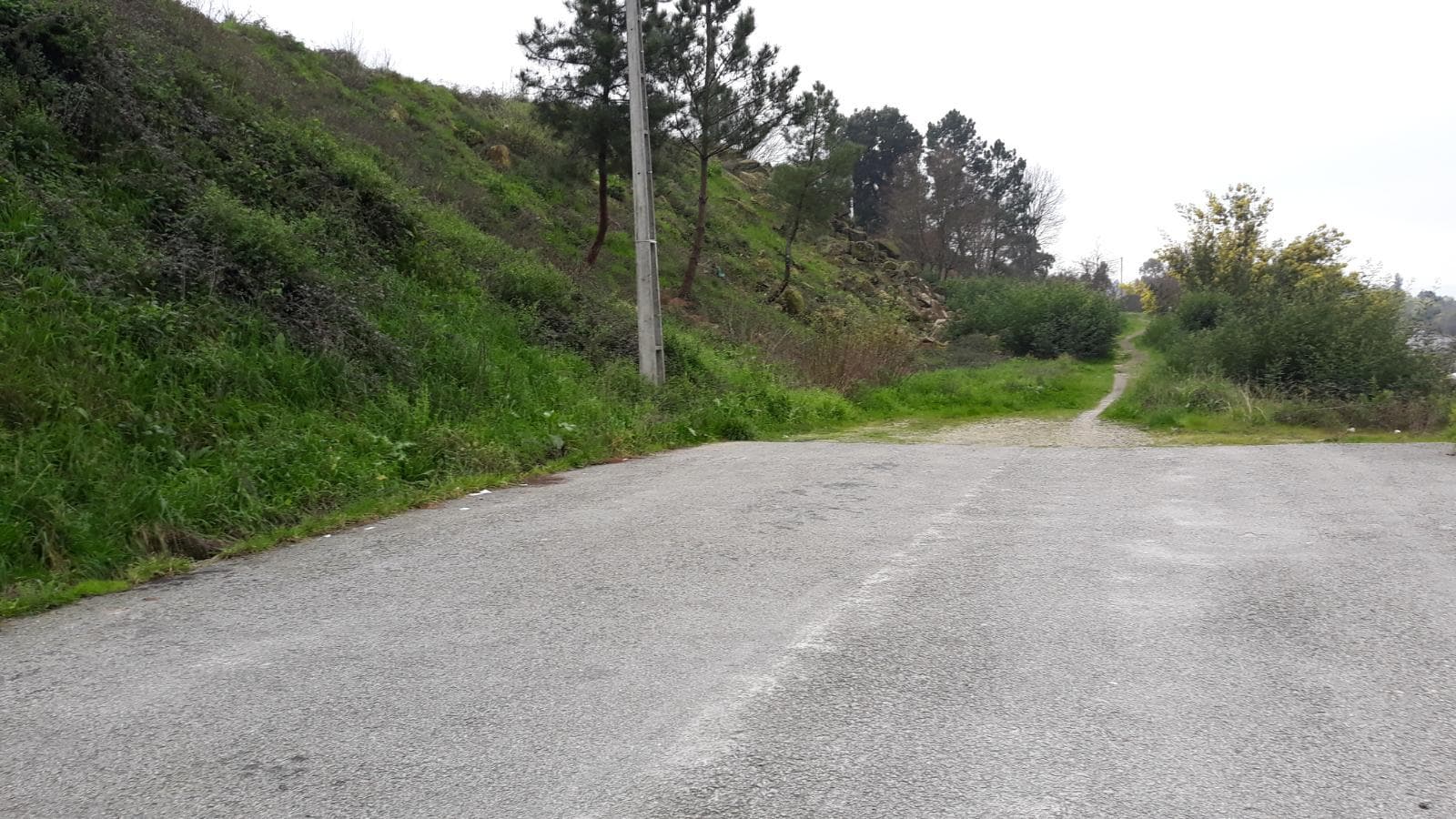 Terreno · Viseu — imagem 2