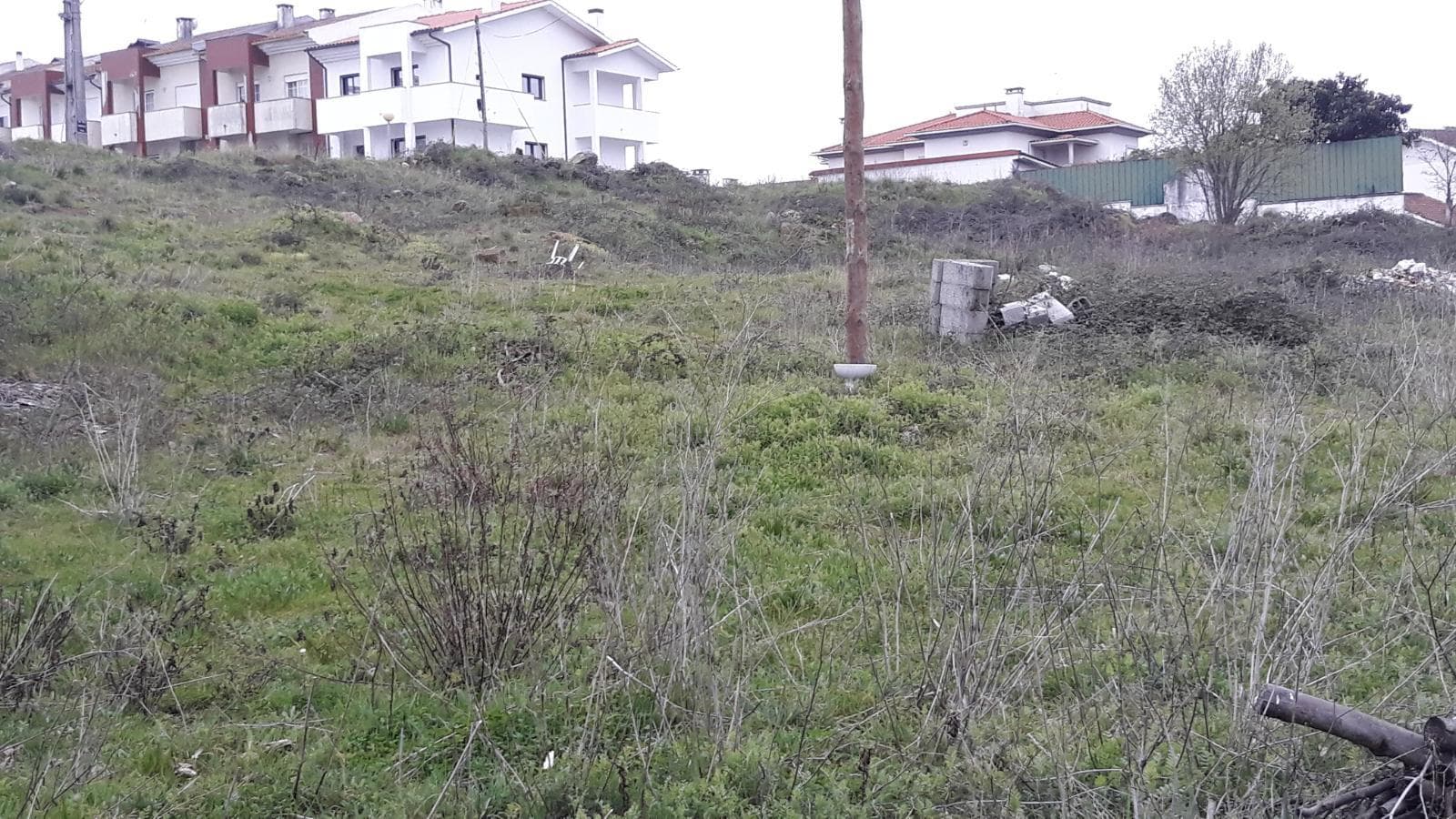 Terreno · Viseu — imagem 1