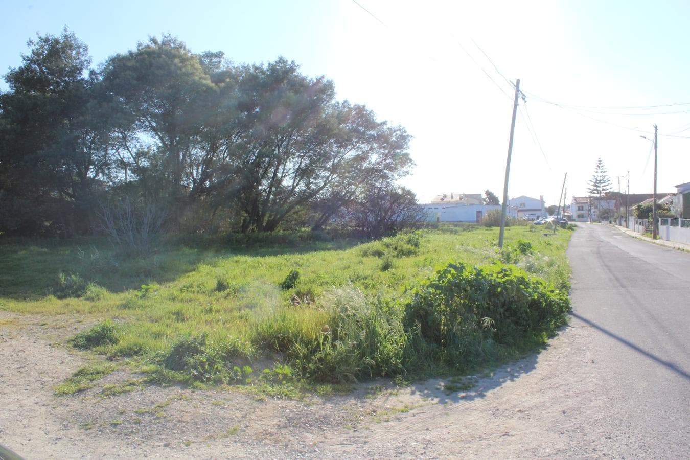 Armazém (Terreno com Benfeitoria) · Setúbal — imagem 9