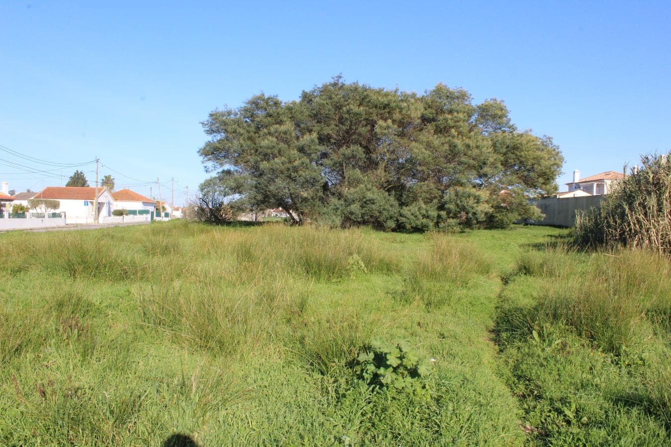 Armazém (Terreno com Benfeitoria) · Setúbal — imagem 10