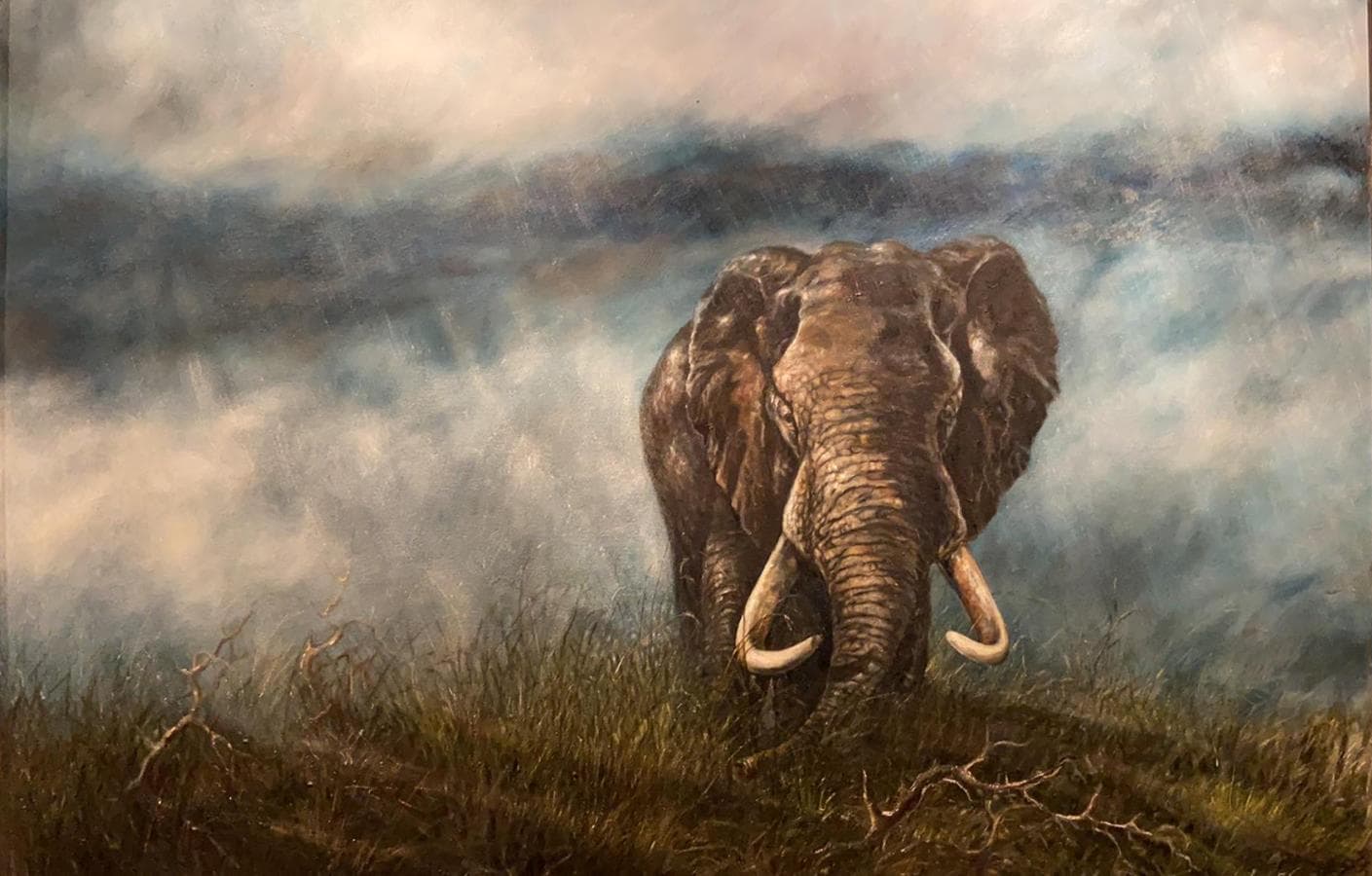 Elefante Kambaco — imagem 1