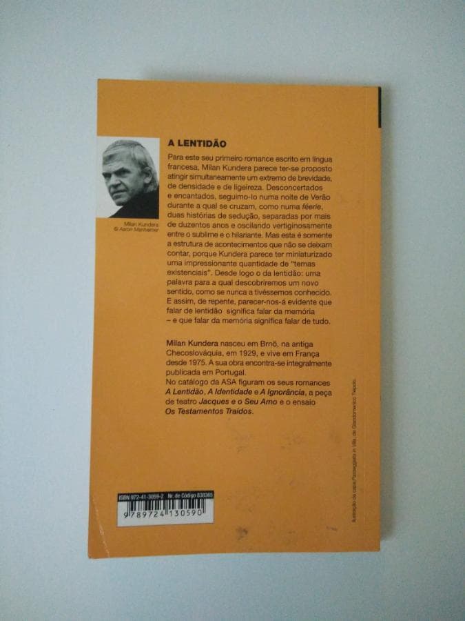 A Lentidão — imagem 3
