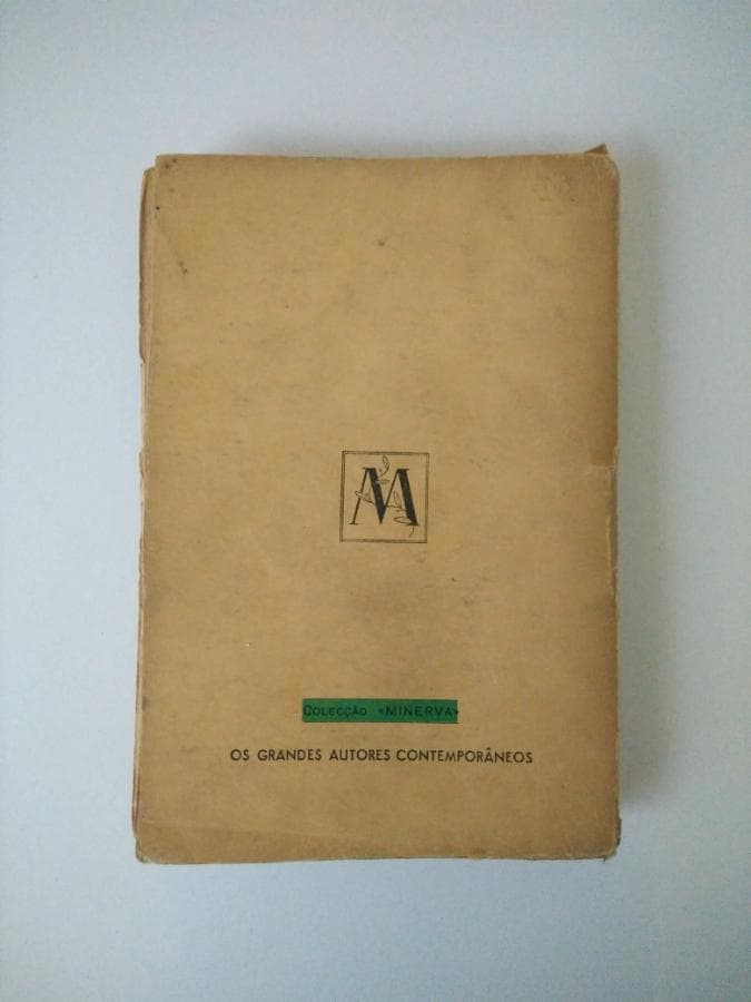 Dolicocéfala Loira — imagen 3