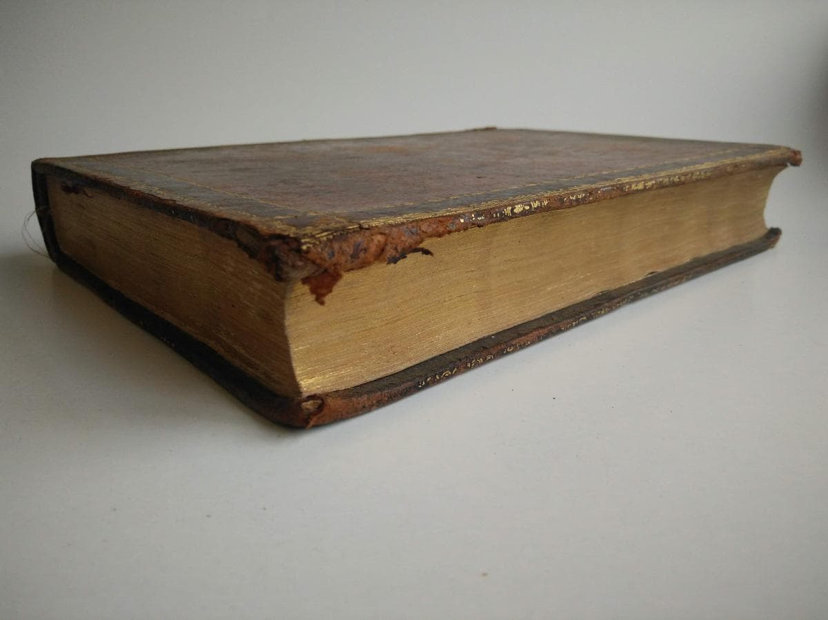 Cartas a Grey — imagen 4