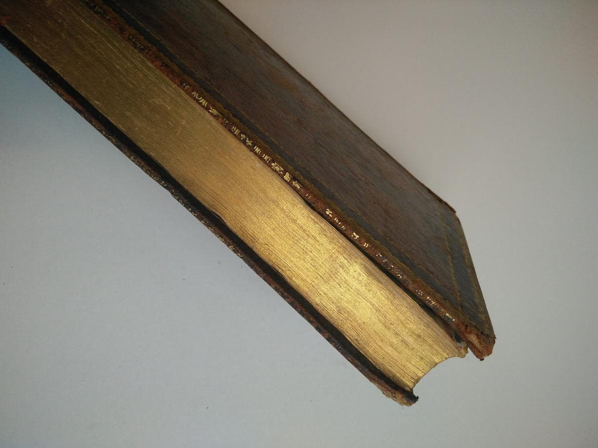 Cartas a Grey — imagen 3