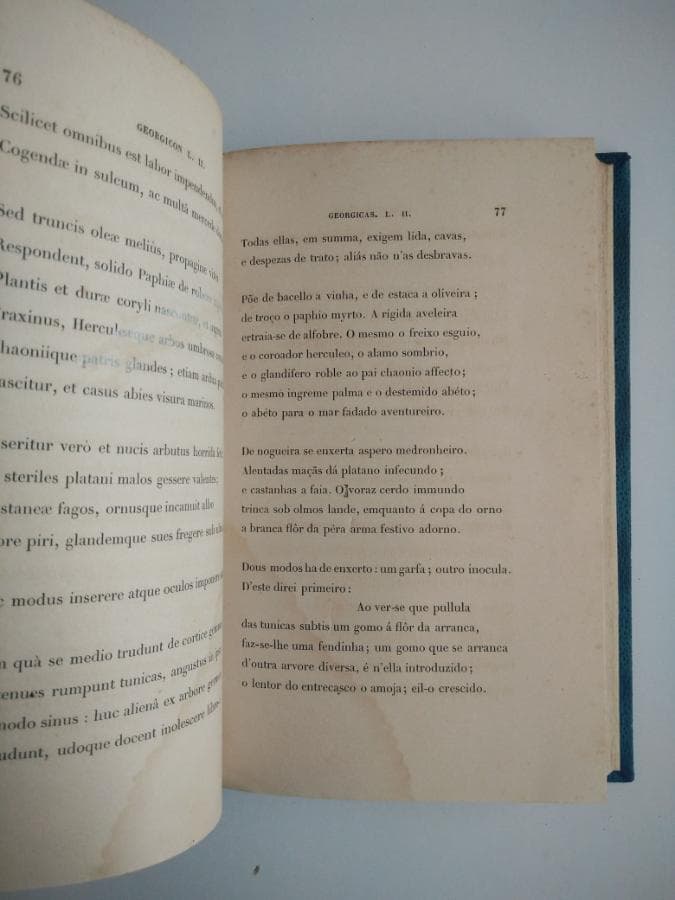 As Geórgicas de Virgílio — imagen 4