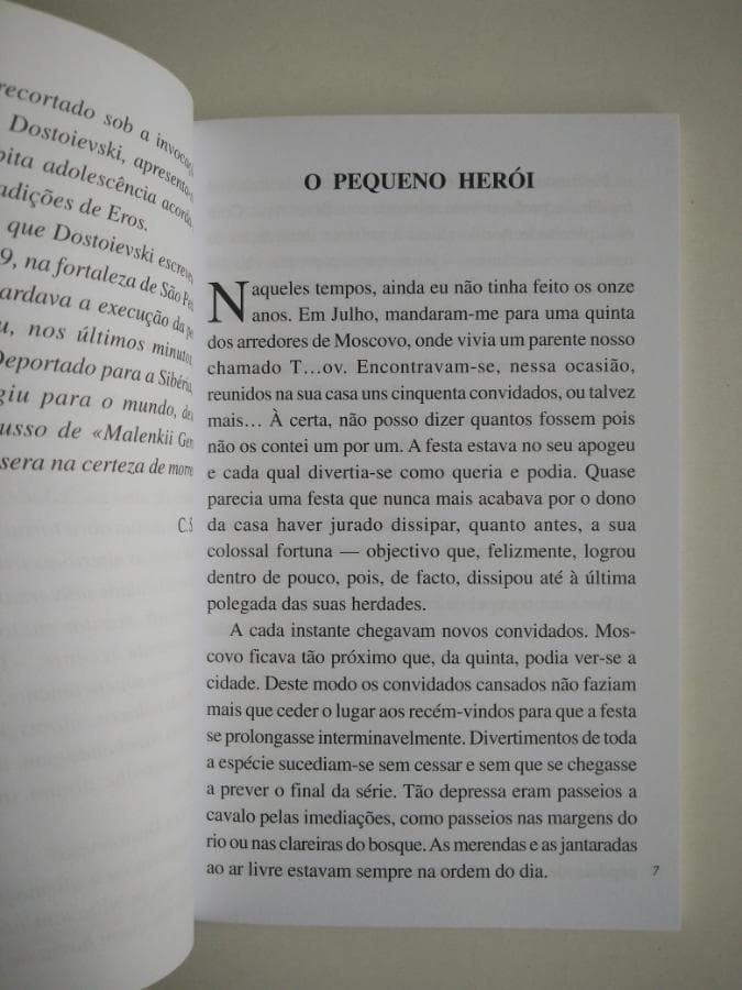 O Pequeno Herói — image 2