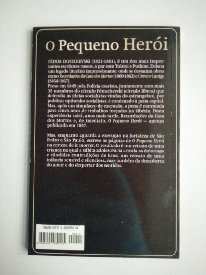 O Pequeno Herói — image 3