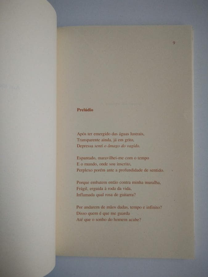 Rosa in Flumina · Joaquim de Barros Ferreira — imagen 3
