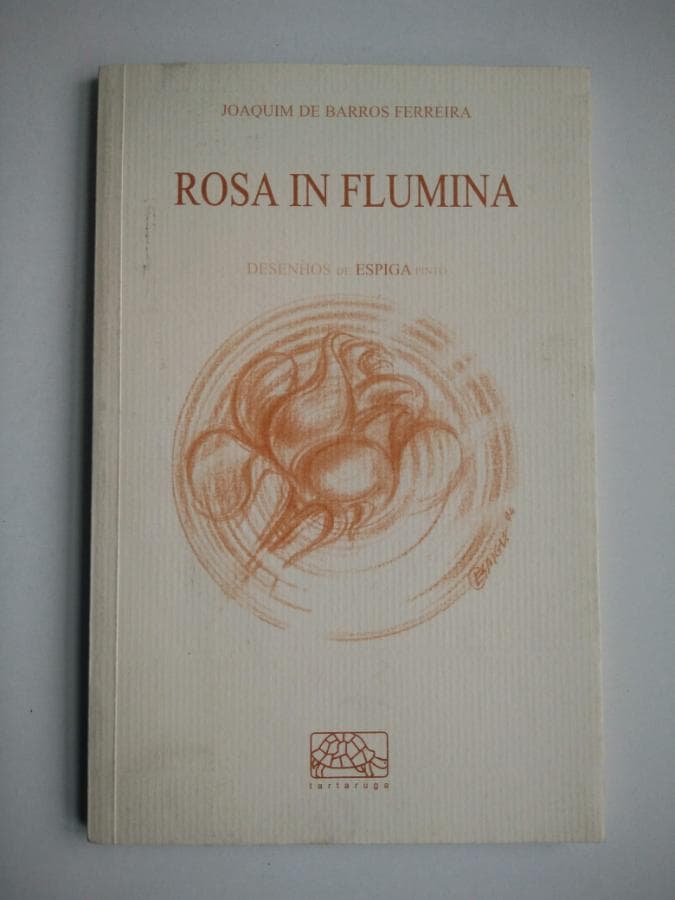 Rosa in Flumina · Joaquim de Barros Ferreira — imagen 1