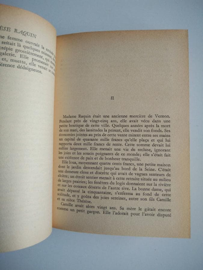 Thérèse Raquin — imagem 3